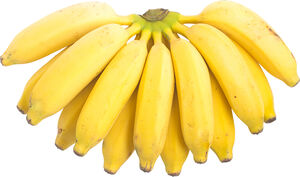 Banana Prata