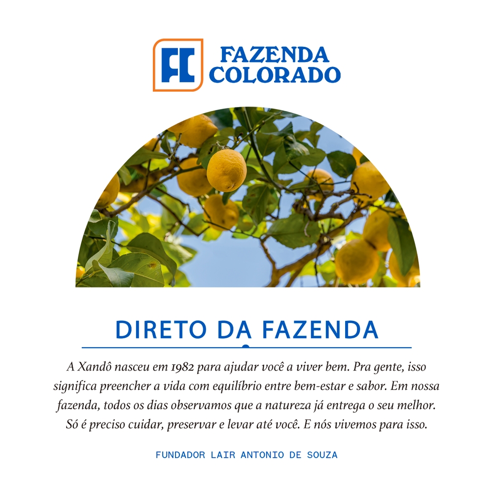 SUCO SABOR LIMONADA SICILIANA XANDÔ 900ML